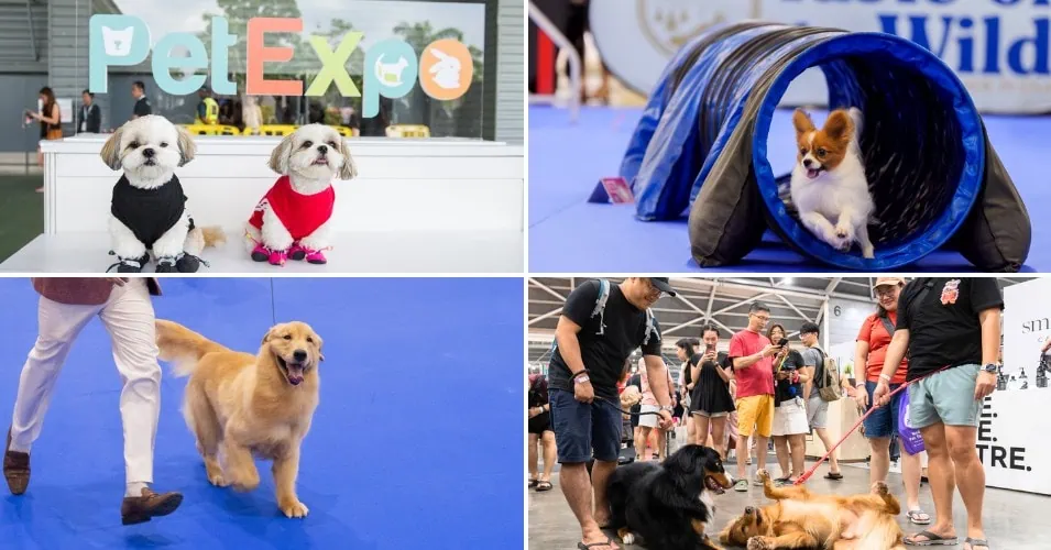 Pet Expo Sri Lanka 2026