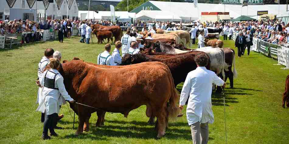 Great Yorkshire Show 2026